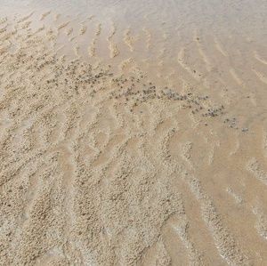 Meet your Posher, Kerri